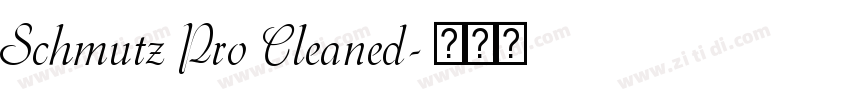 Schmutz Pro Cleaned字体转换